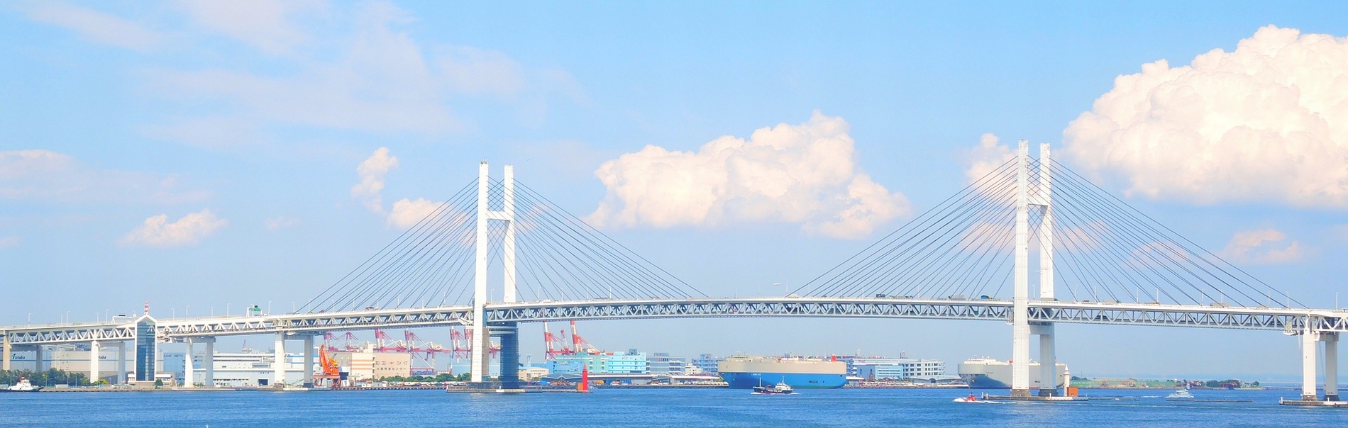 ウィルデック・サポート